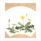 和紙のちぎり絵キット花鳥風月 （春） 「　No.228 つくしナの花・タンポポ　」  色紙サイズ 約24×27cm